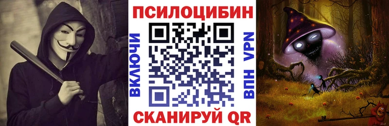 как найти   Большой Камень  Псилоцибиновые грибы Psilocybine cubensis 